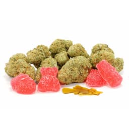 Walrus Kush cannabis strain