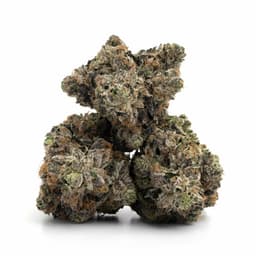 Watermelon Gushers cannabis strain