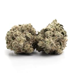 Watermelon Lemonade cannabis strain
