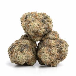 Watermelon Tree cannabis strain