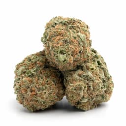 Weed Bros OG cannabis strain