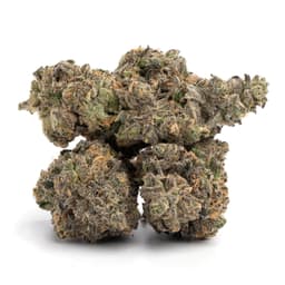 White Cherry Gelato cannabis strain