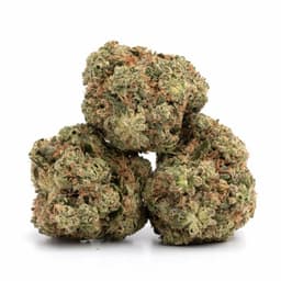 White Spice cannabis strain