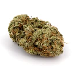 Woody Kush cannabis strain