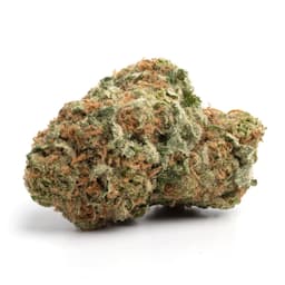 XXX Diesel cannabis strain