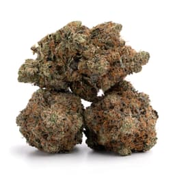 Yellow Fruit Stripes cannabis strain