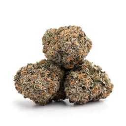Zour Watermelon cannabis strain