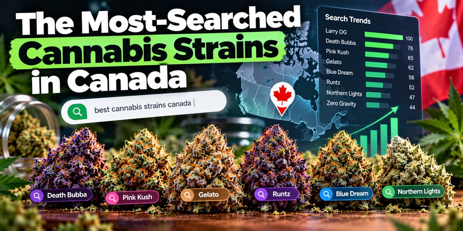 The Most-Searched Cannabis Strains in Canada