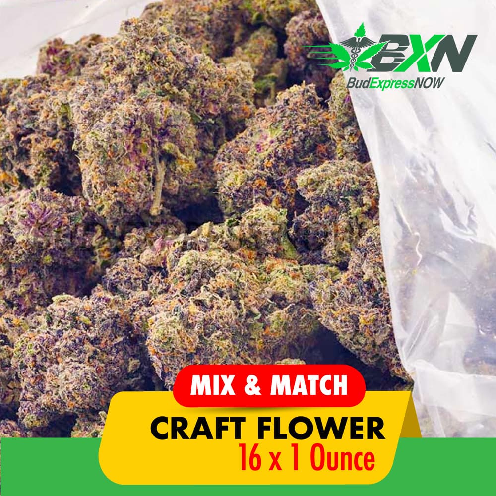 Mix & Match (Craft) Strain – 28g x 16