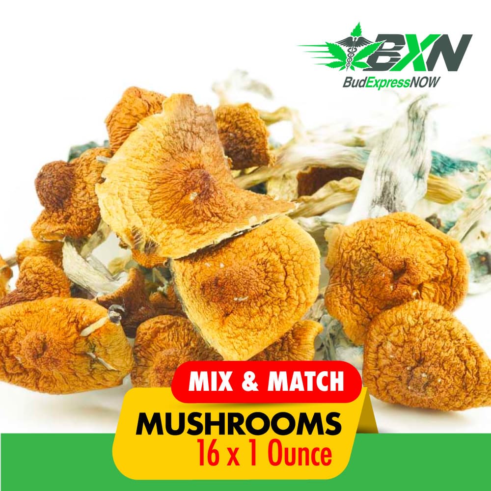Mushroom Mix N Match 16 x 1oz