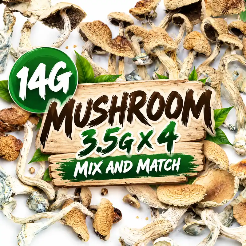 Magic Mushrooms | Mix and Match 14g (3.5g x 4)