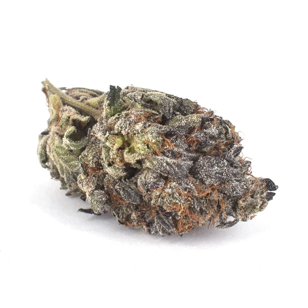 Blue Rhino AAA