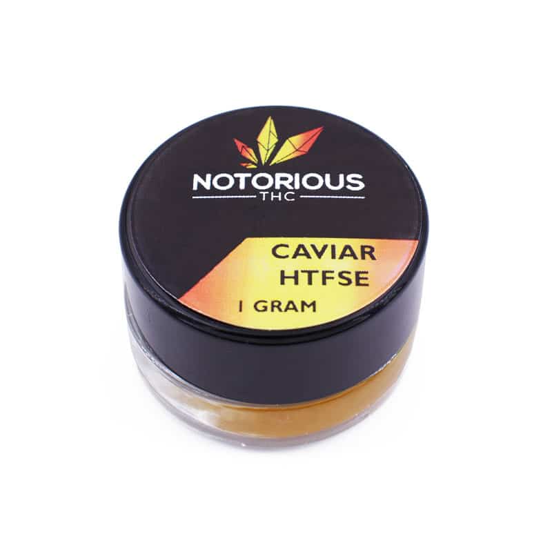Notorious HTFSE High Terpene Caviar