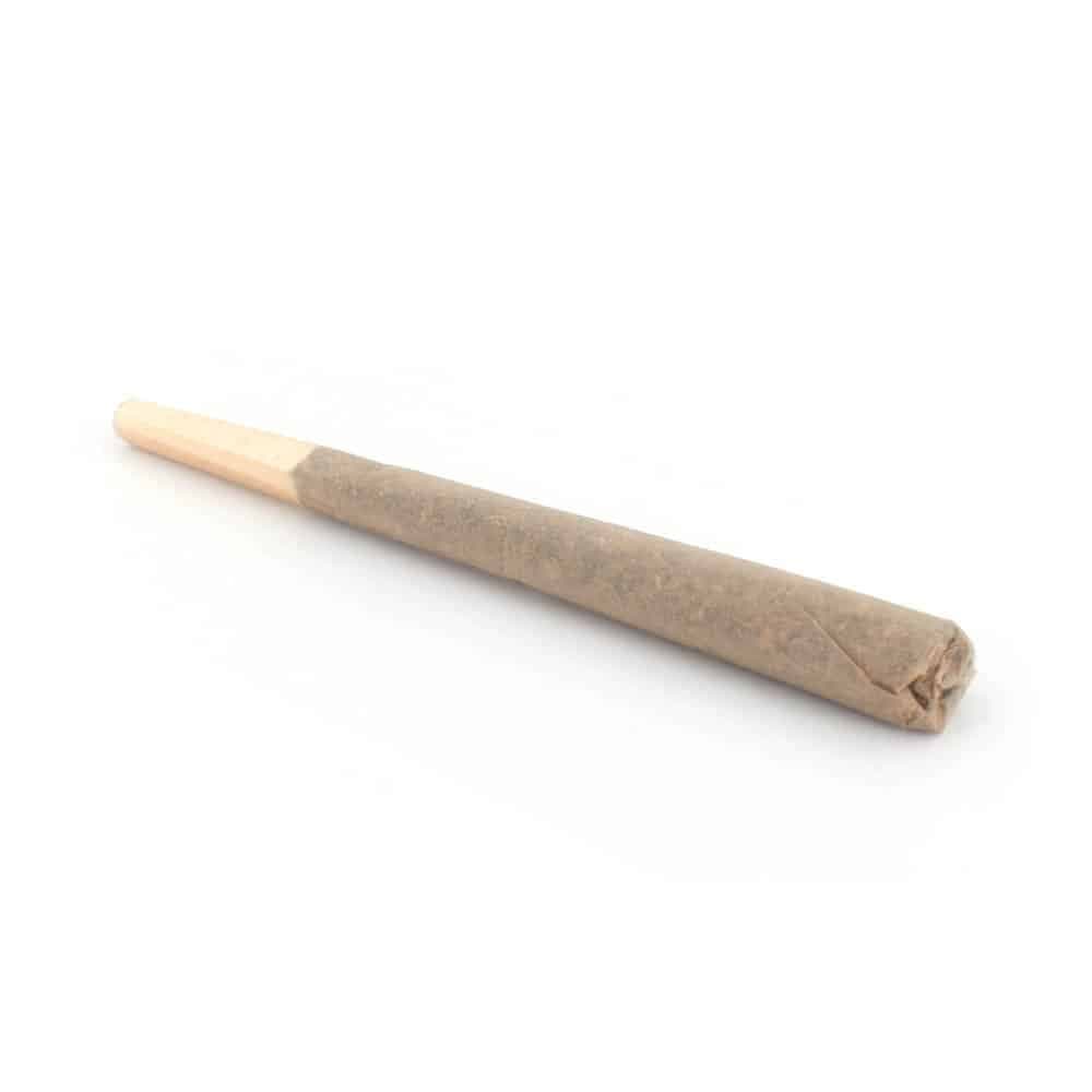 House Pre-Rolls King Louis XIII (AAAA)