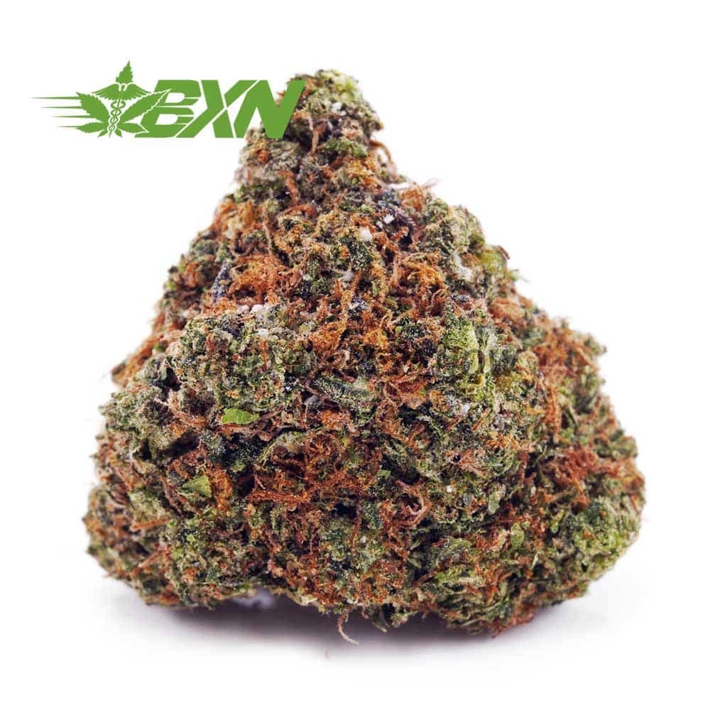 Amnesia Haze AAA