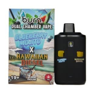 Burn Dual Chamber Disposable Vape 3G