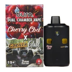Burn Dual Chamber Disposable Vape 3G