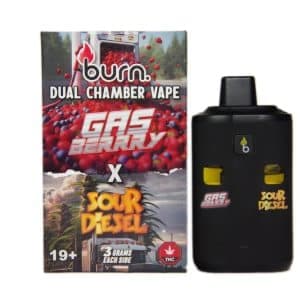 Burn Dual Chamber Disposable Vape 3G