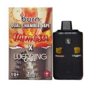 Burn Dual Chamber Disposable Vape 3G
