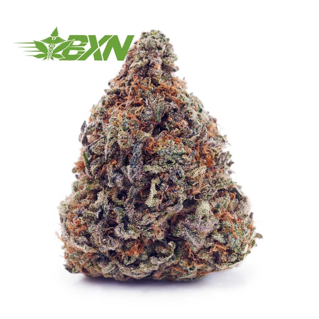 King Louis XIII AA