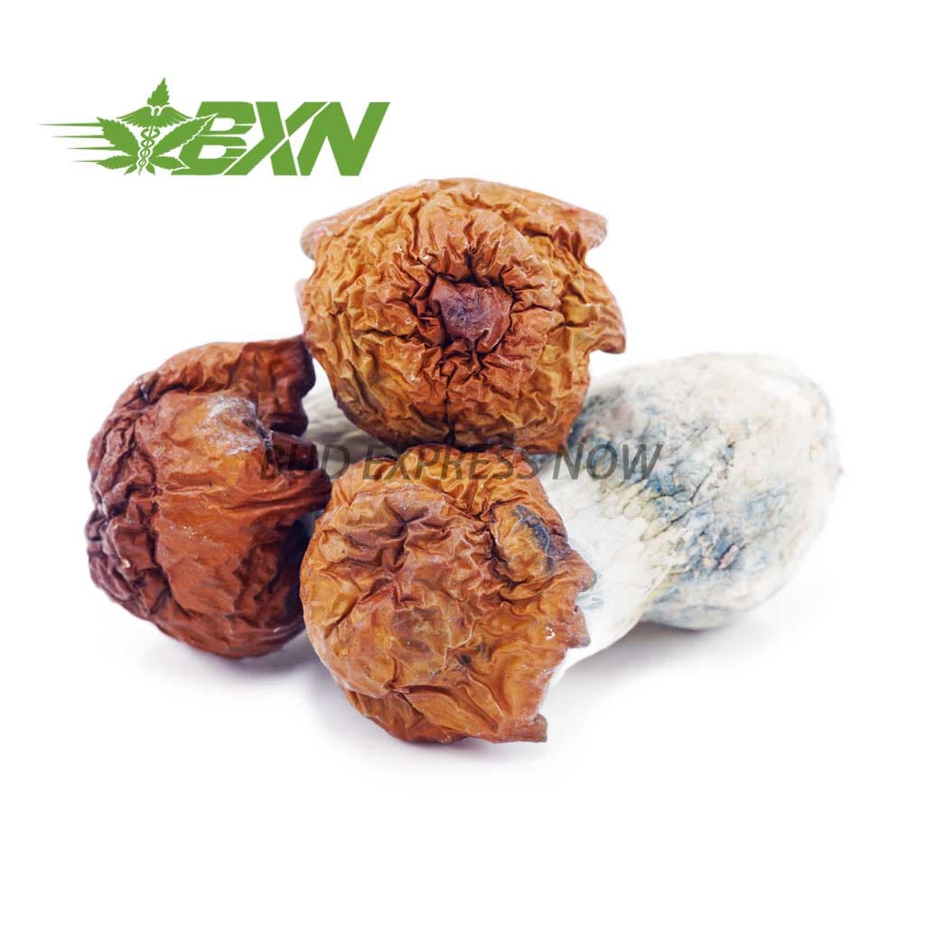 Shrooms – Bluey Vuitton