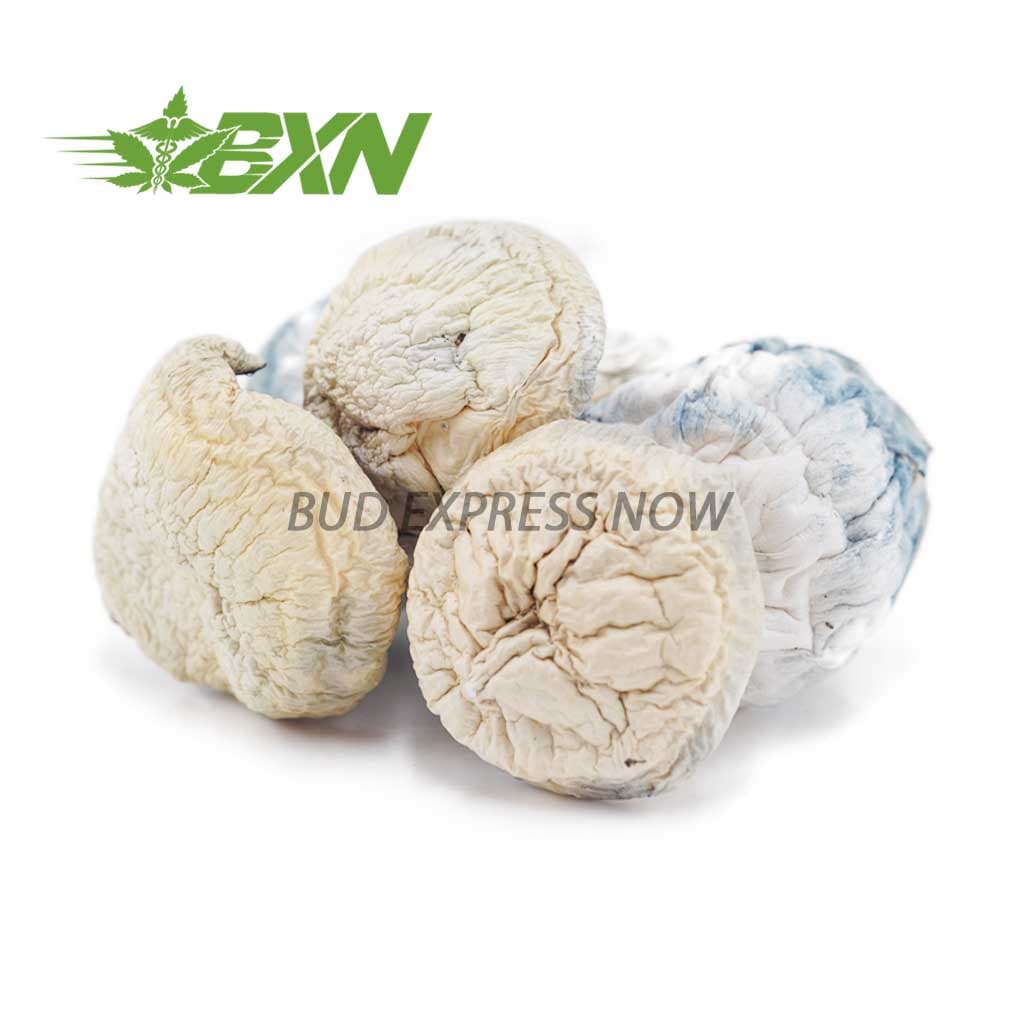 Shrooms – Snow White