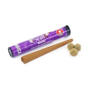 Indica