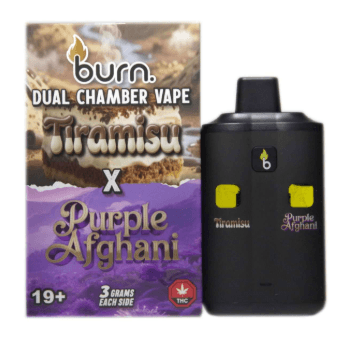 Burn Dual Chamber Disposable Vape 9G