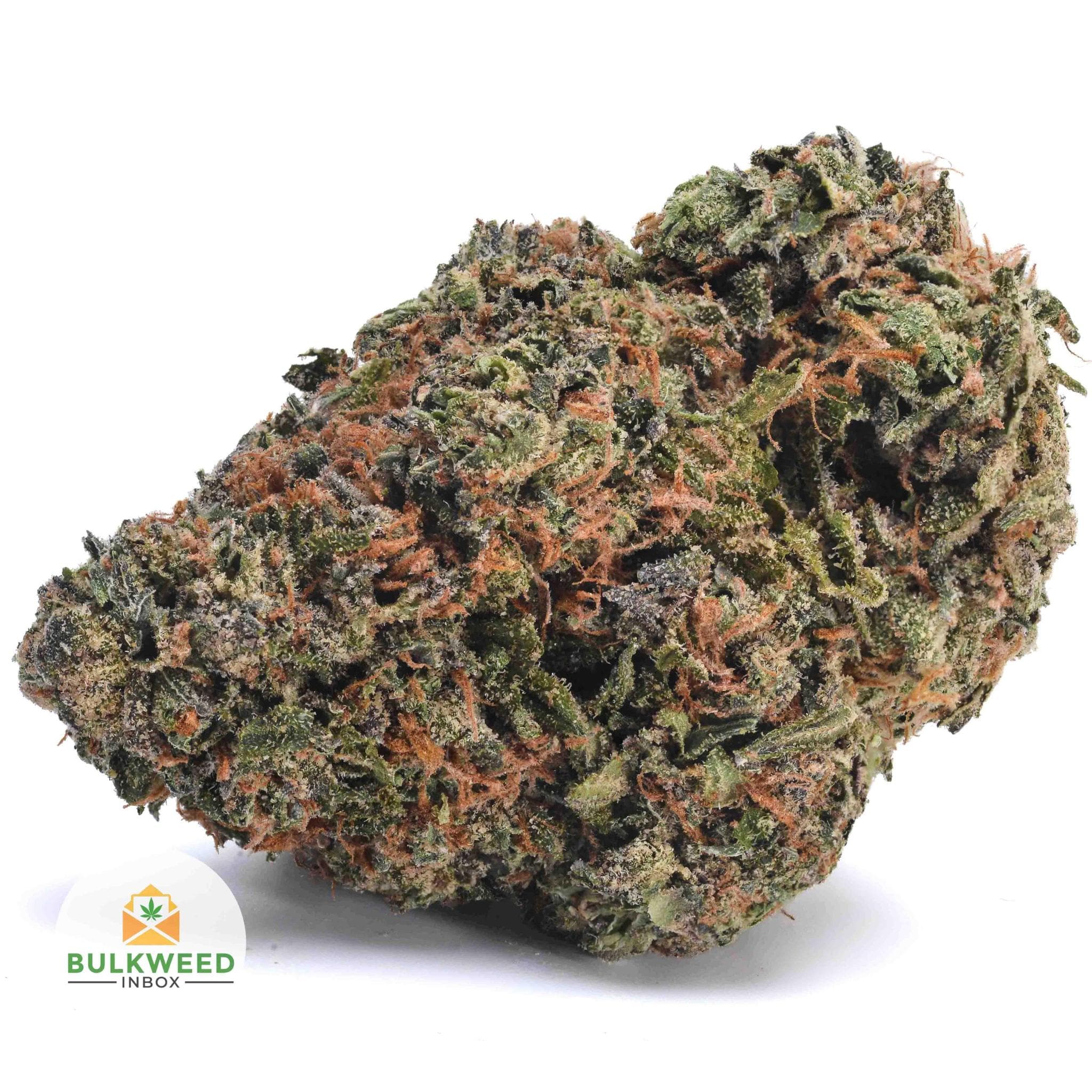 Alien Dawg AAAA