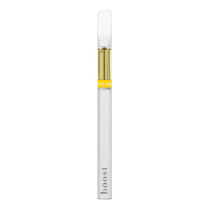Bulkweedinbox Disposable Vape 1G