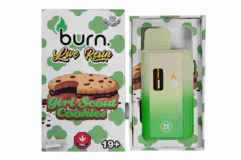 Burn Disposable Vape 2G