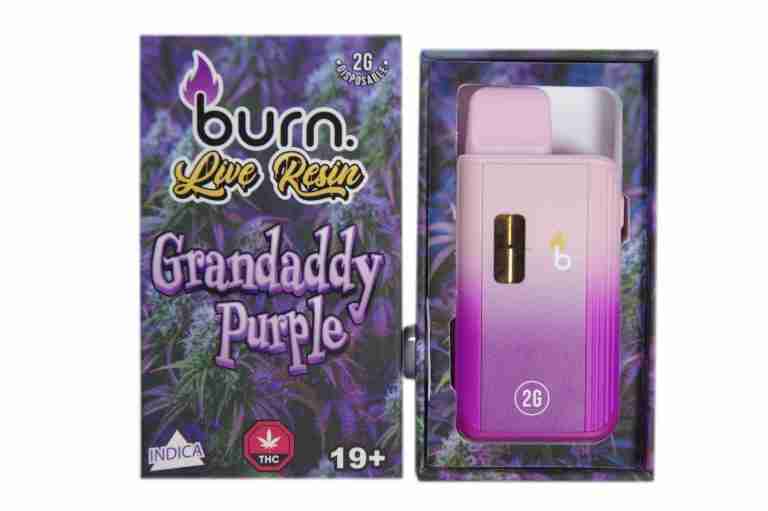 Burn Disposable Vape 2G