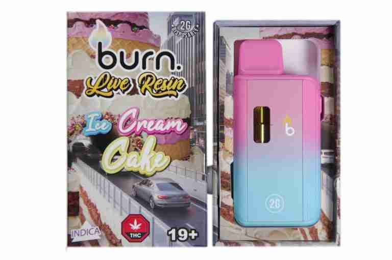 Burn Disposable Vape 2G