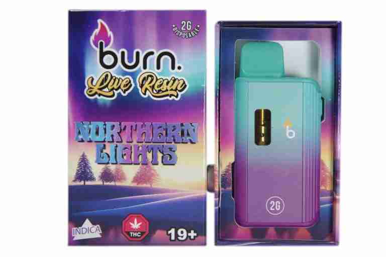 Burn Disposable Vape 2G