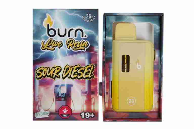 Burn Disposable Vape 2G