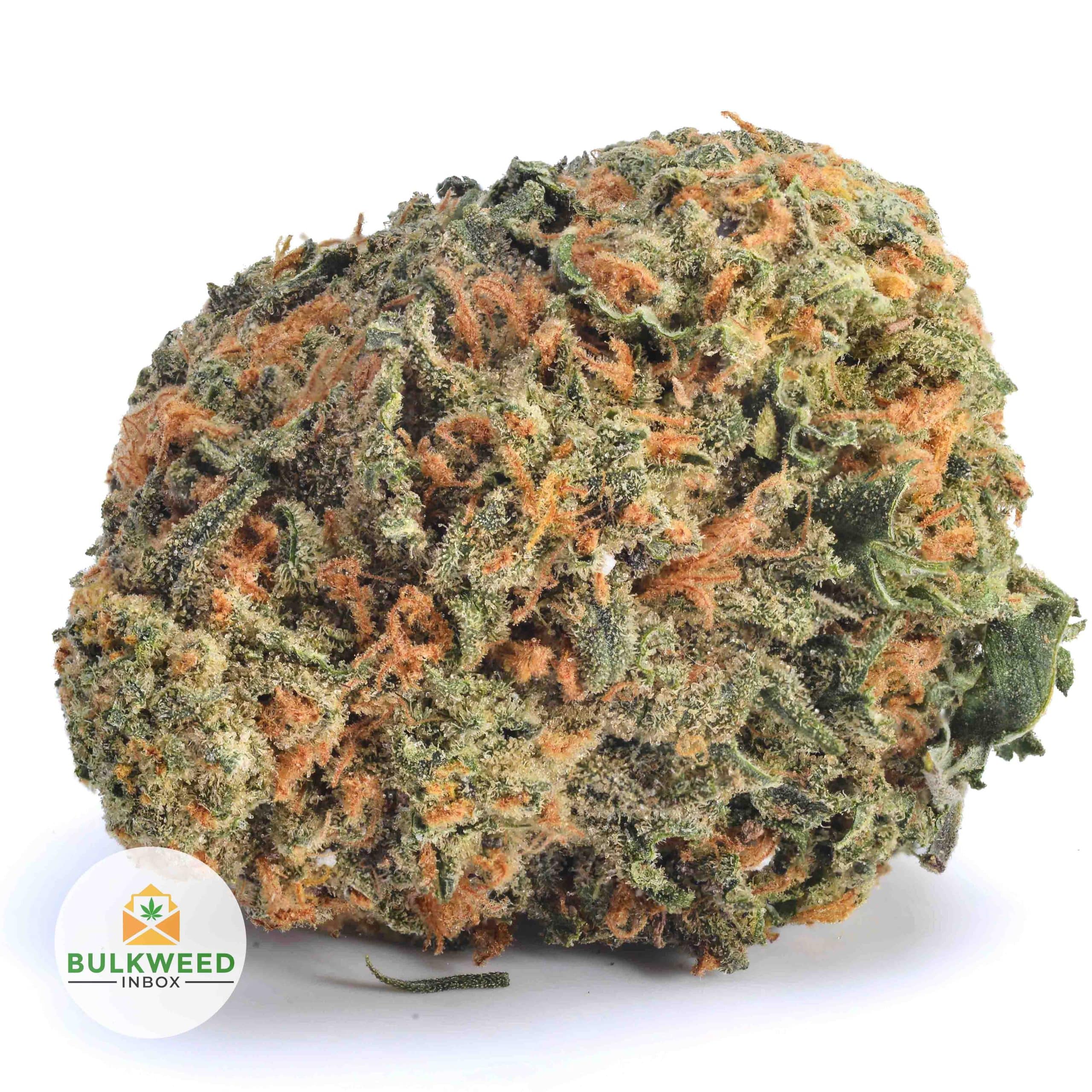 Haze Berry AA+