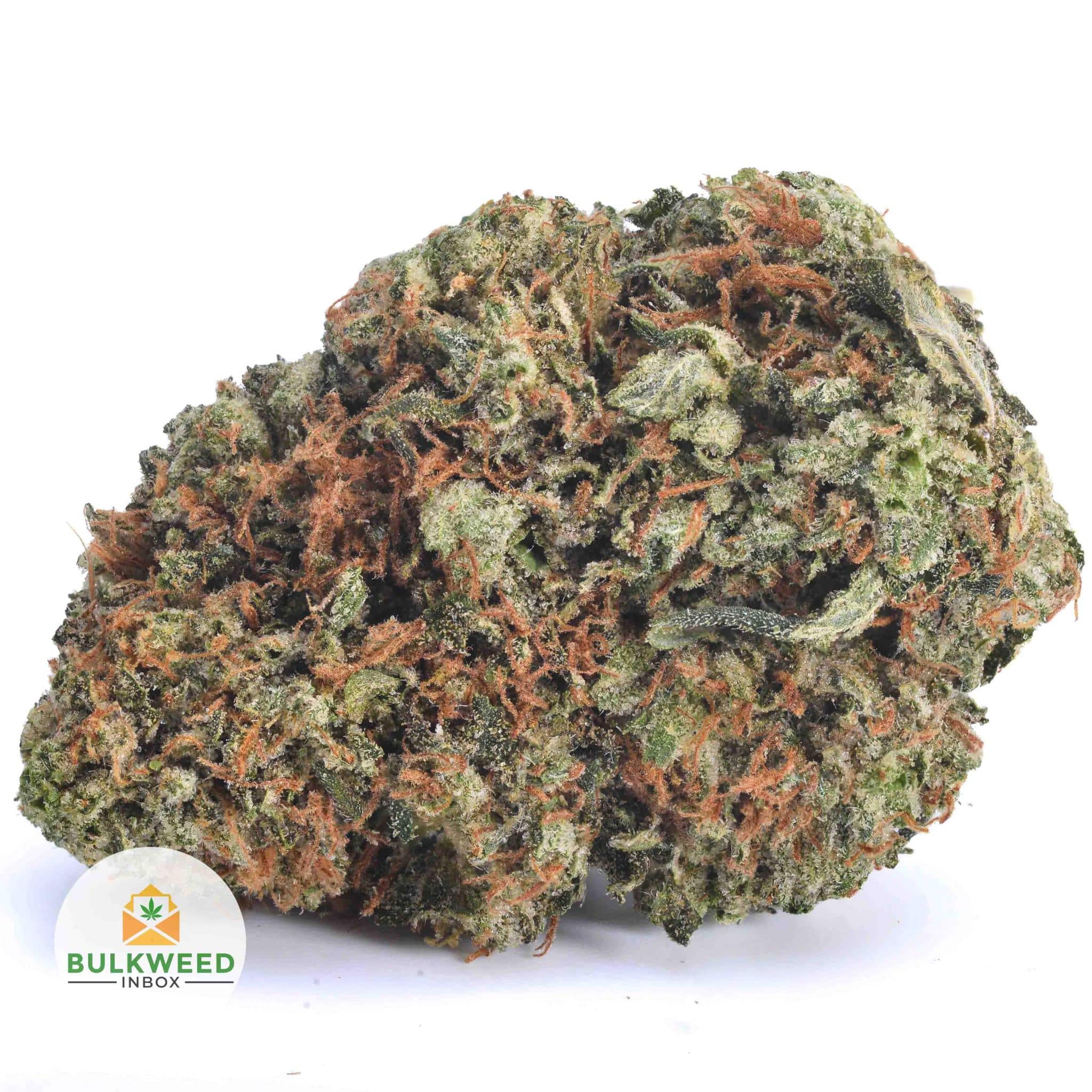Hindu Kush AA+