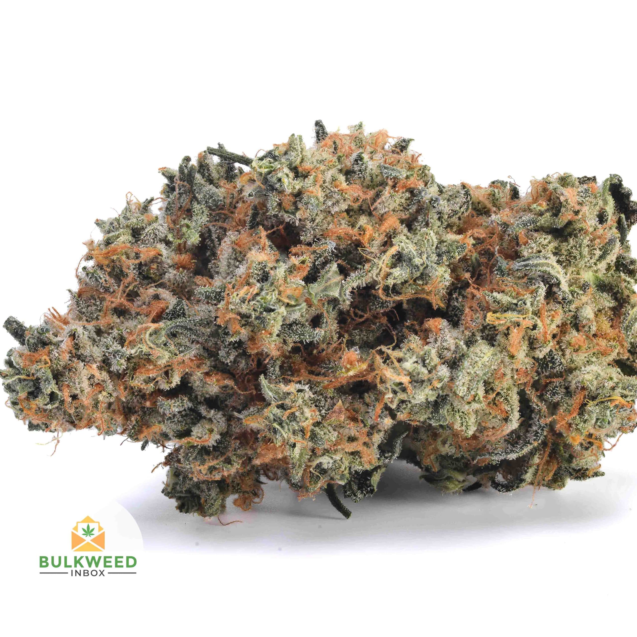 Jet Fuel
