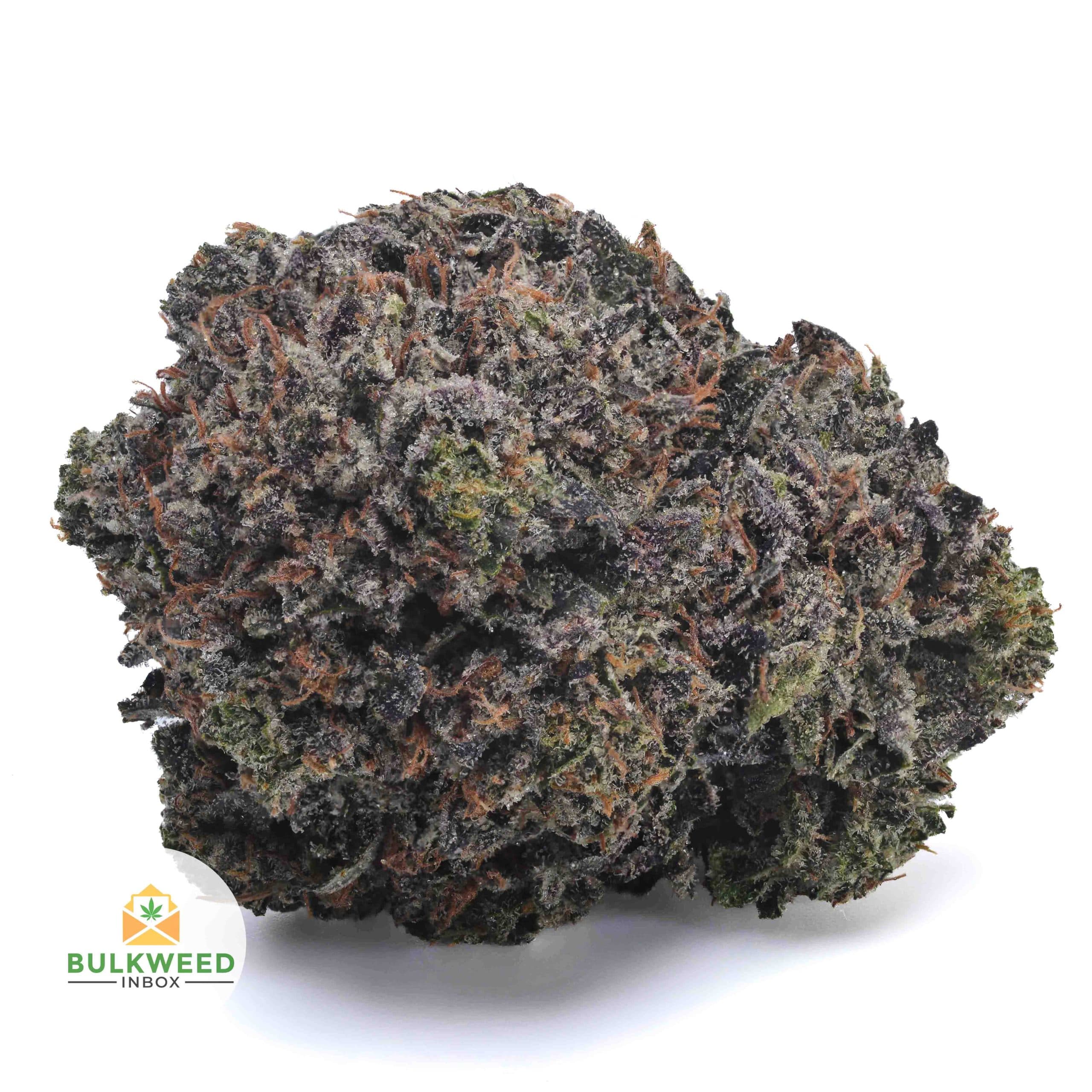 King Louis XIII AAA+