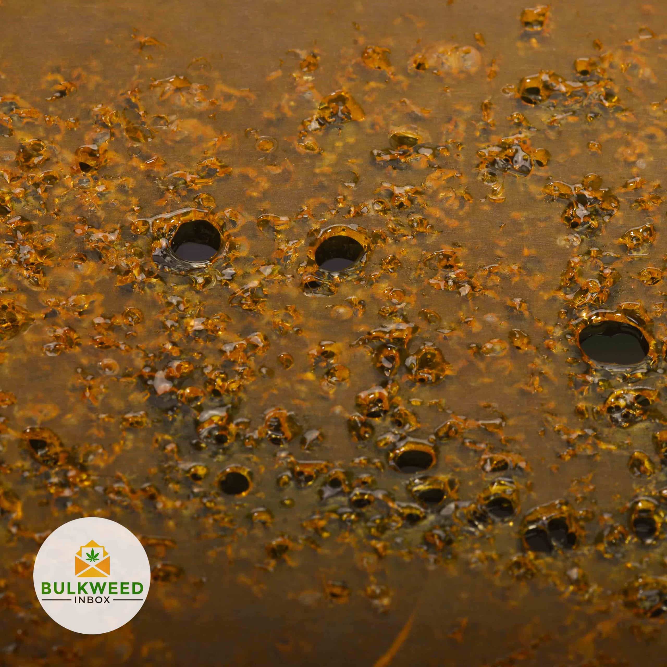 Lit Extracts Blueberry Kush Shatter