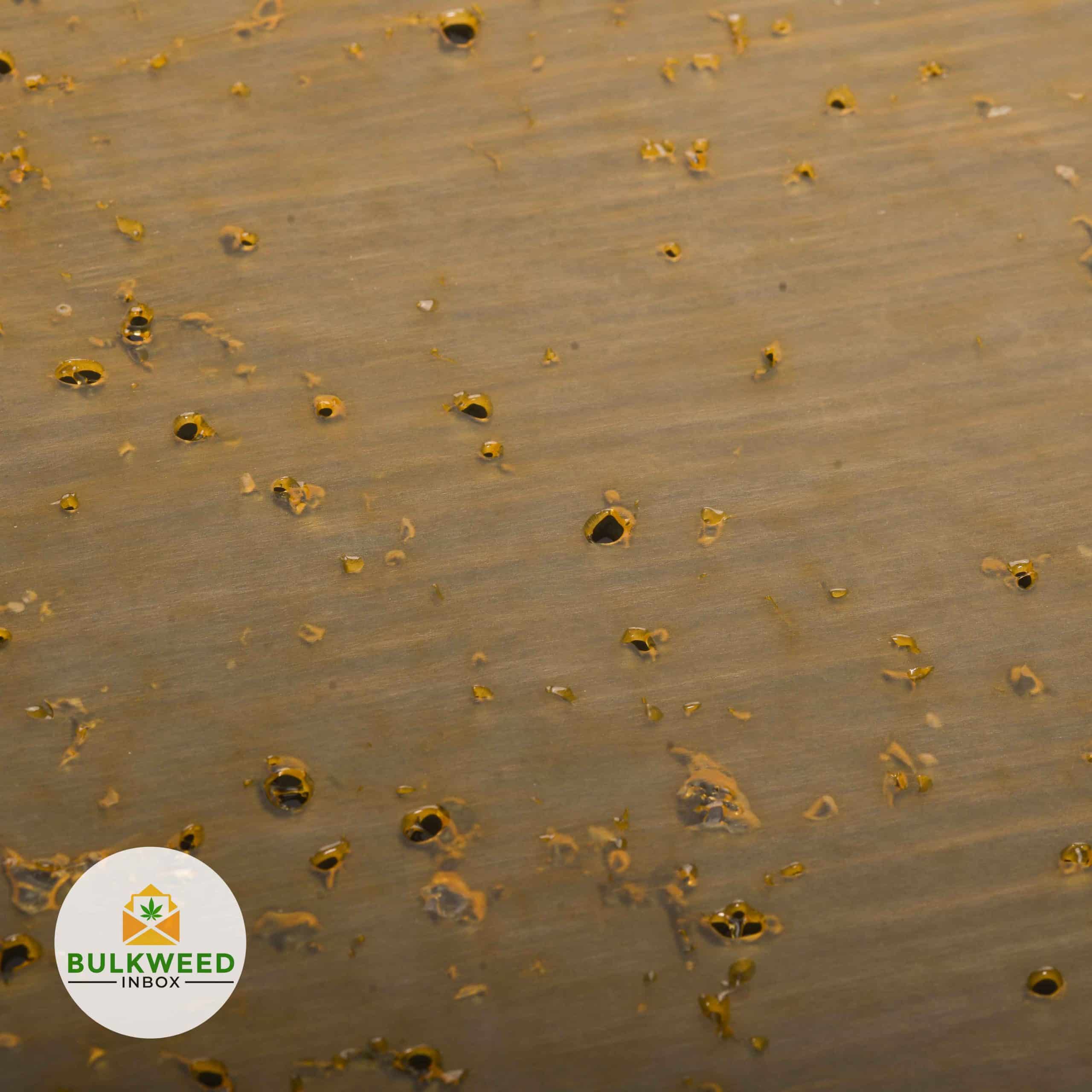 Lit Extracts Gelato Shatter