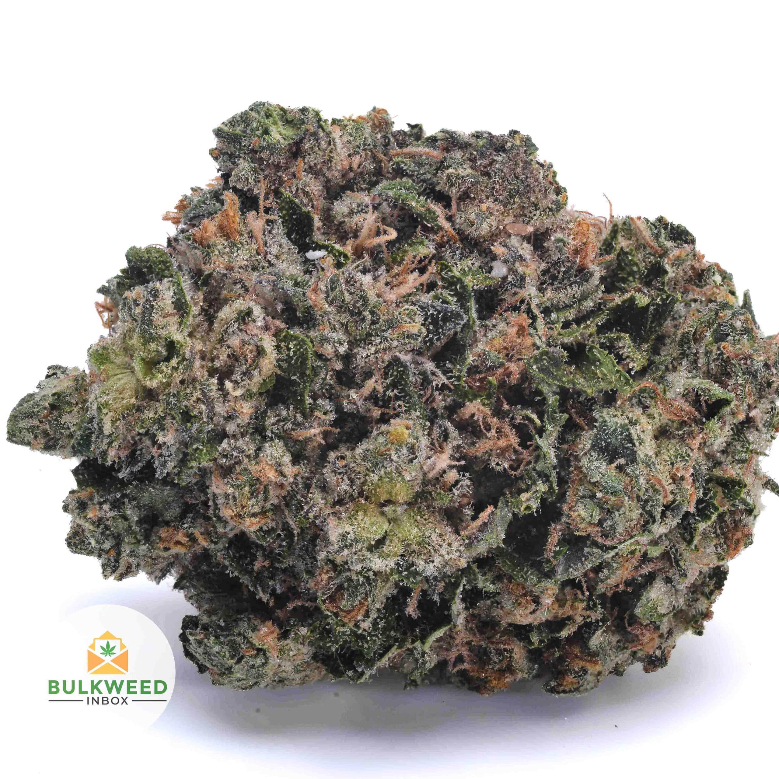 Pink Kush AAAA