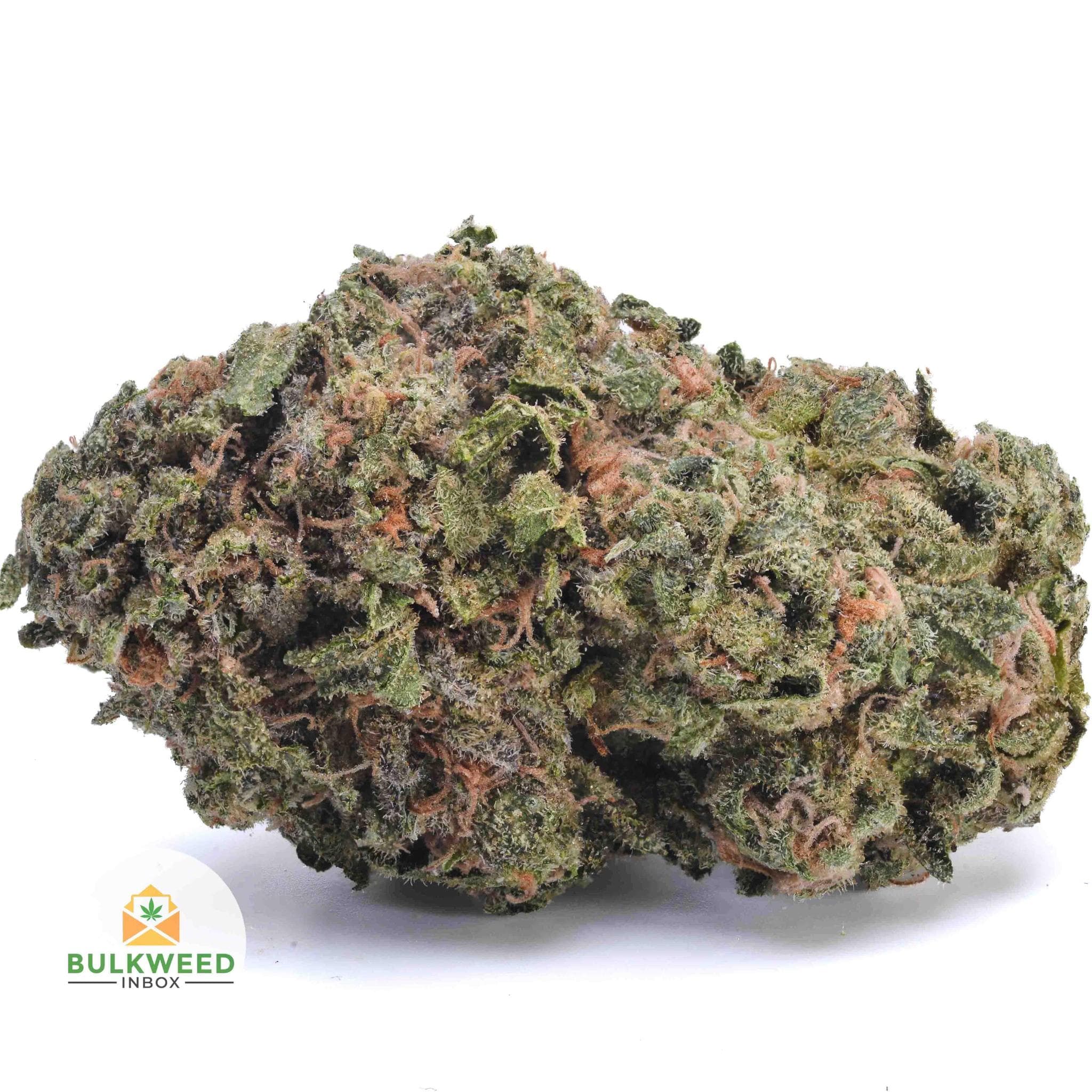 Sour Tangie AA+