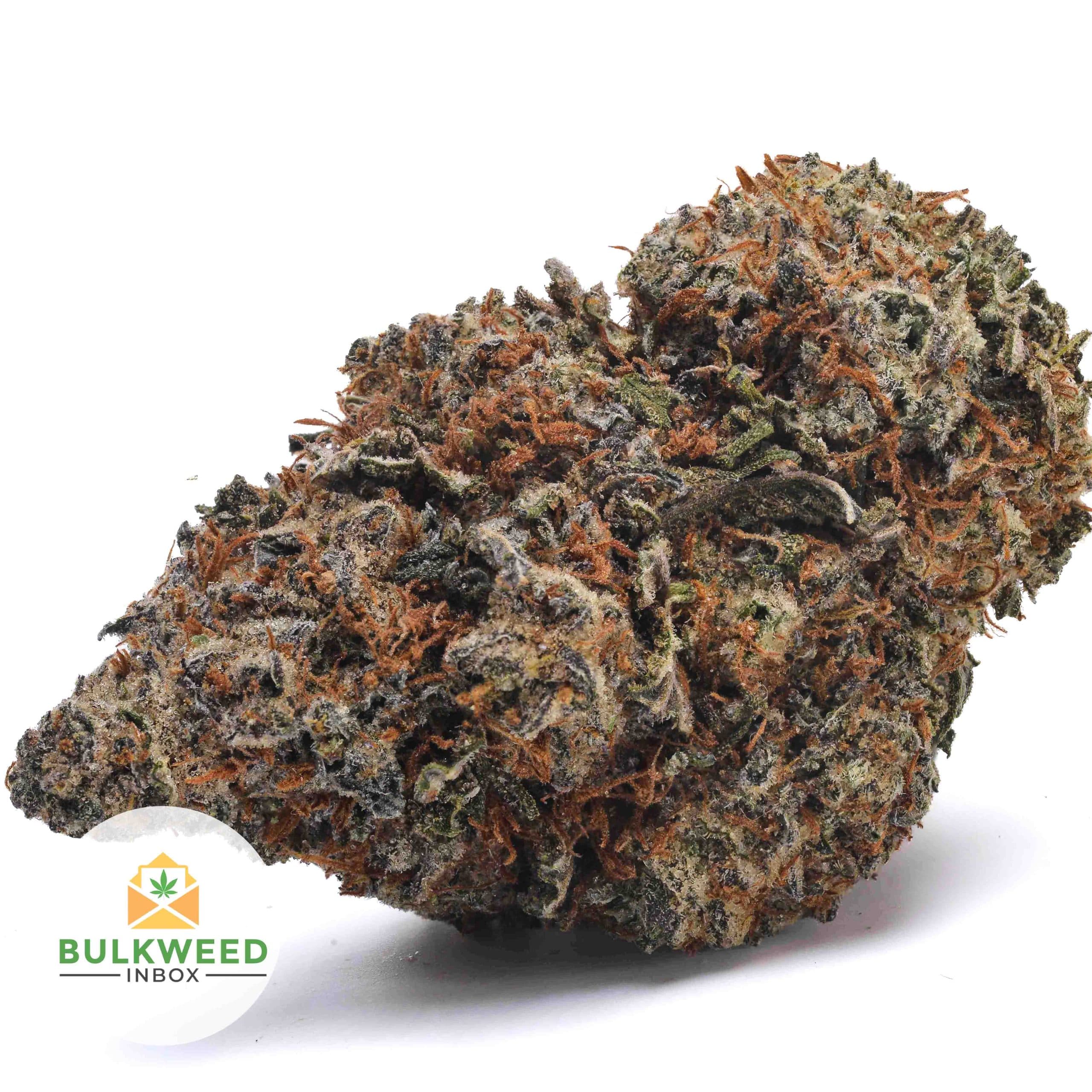 Star Dawg AAA+
