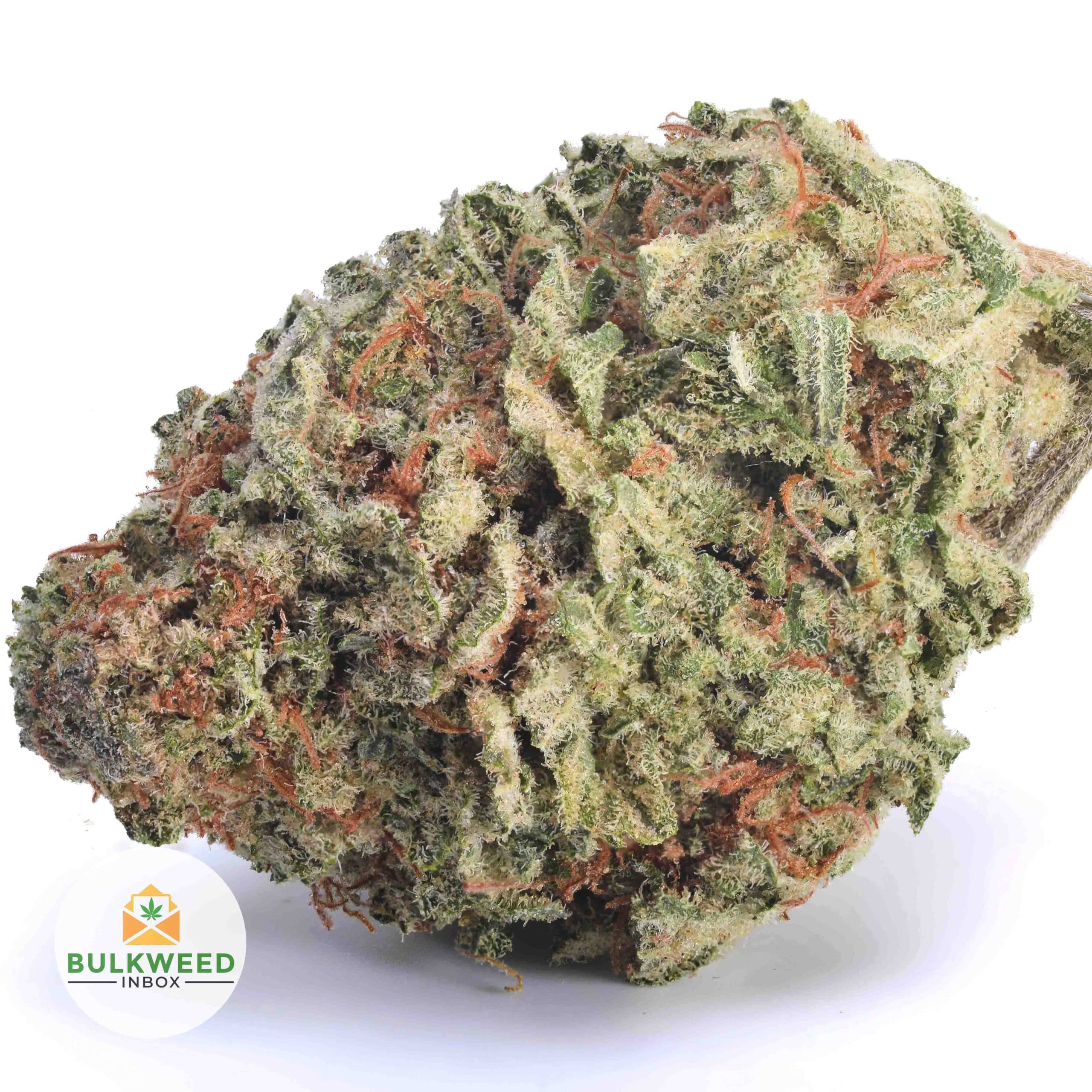 Sunset Sherbet AAA