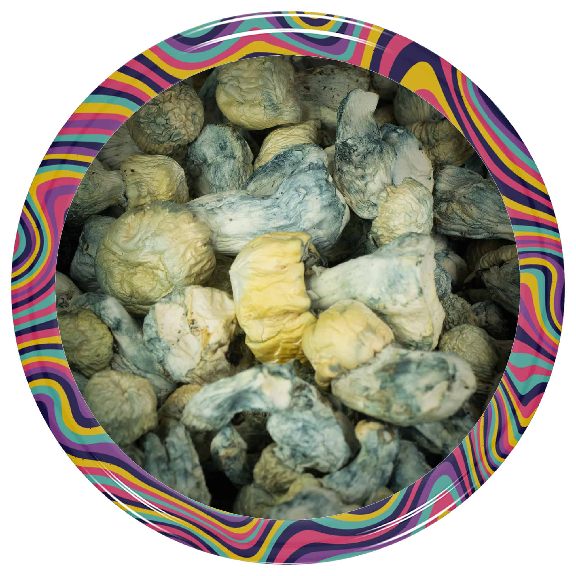 Mushrooms – Blue Ghost