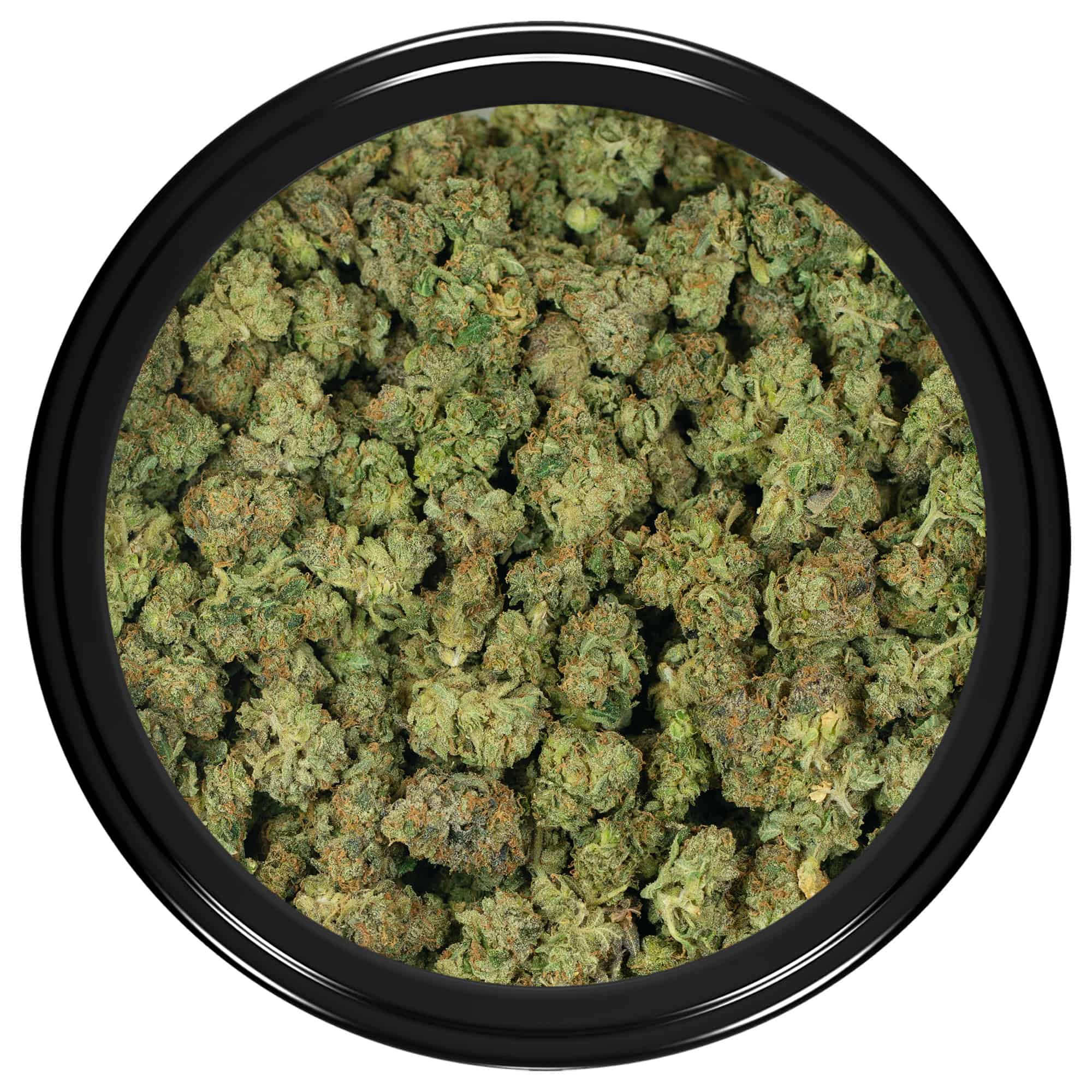 Headband AAA Popcorn