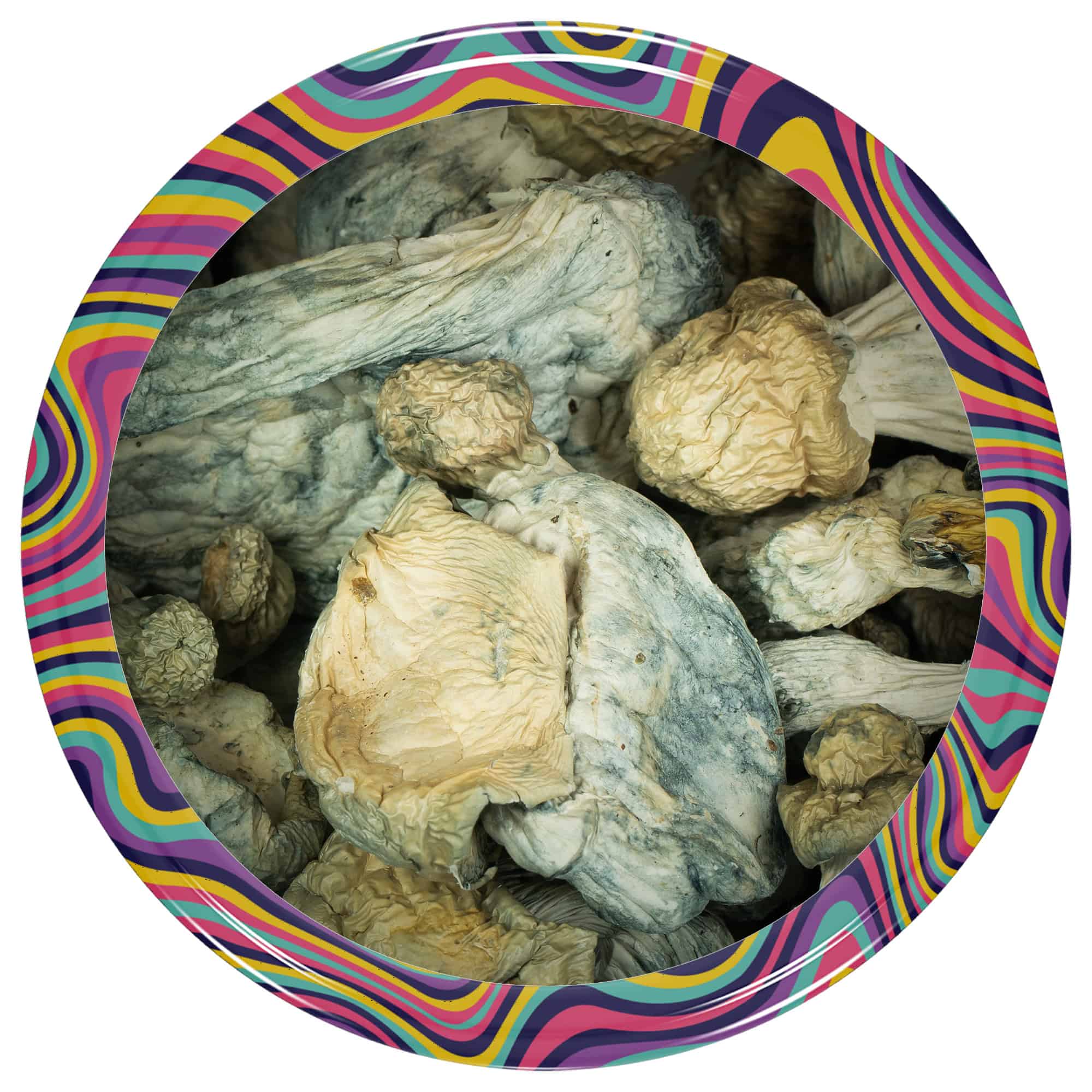 Mushrooms – Iceberg