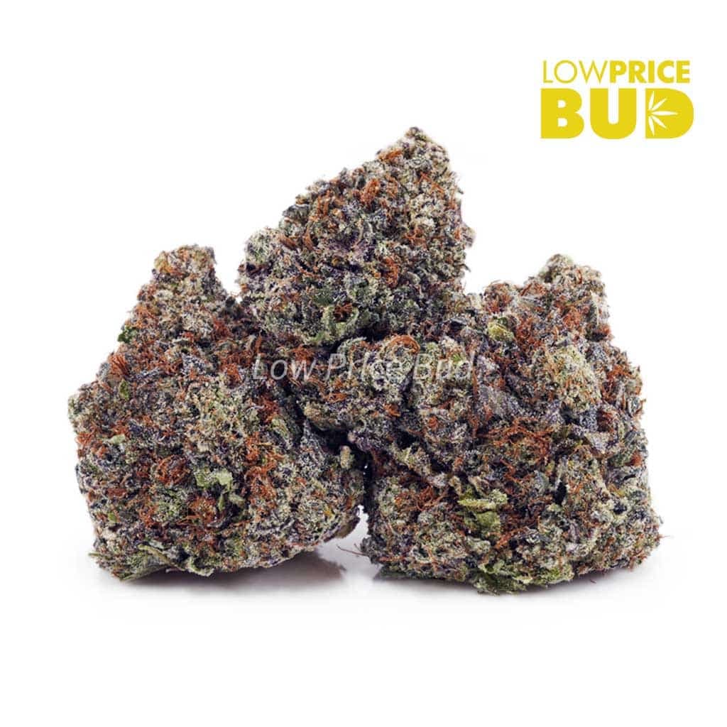 Afghan Haze AAAA