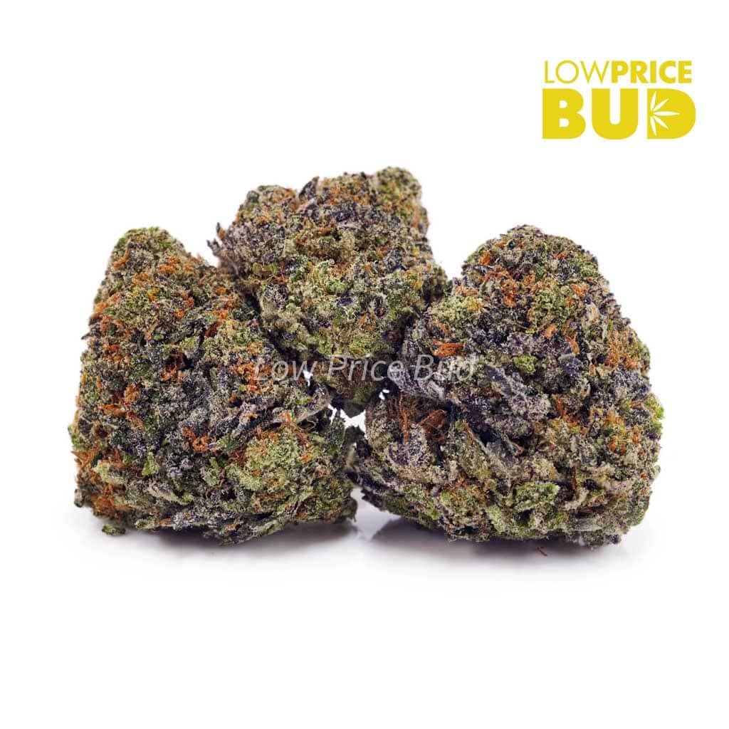 Blueberry Breath AAAA